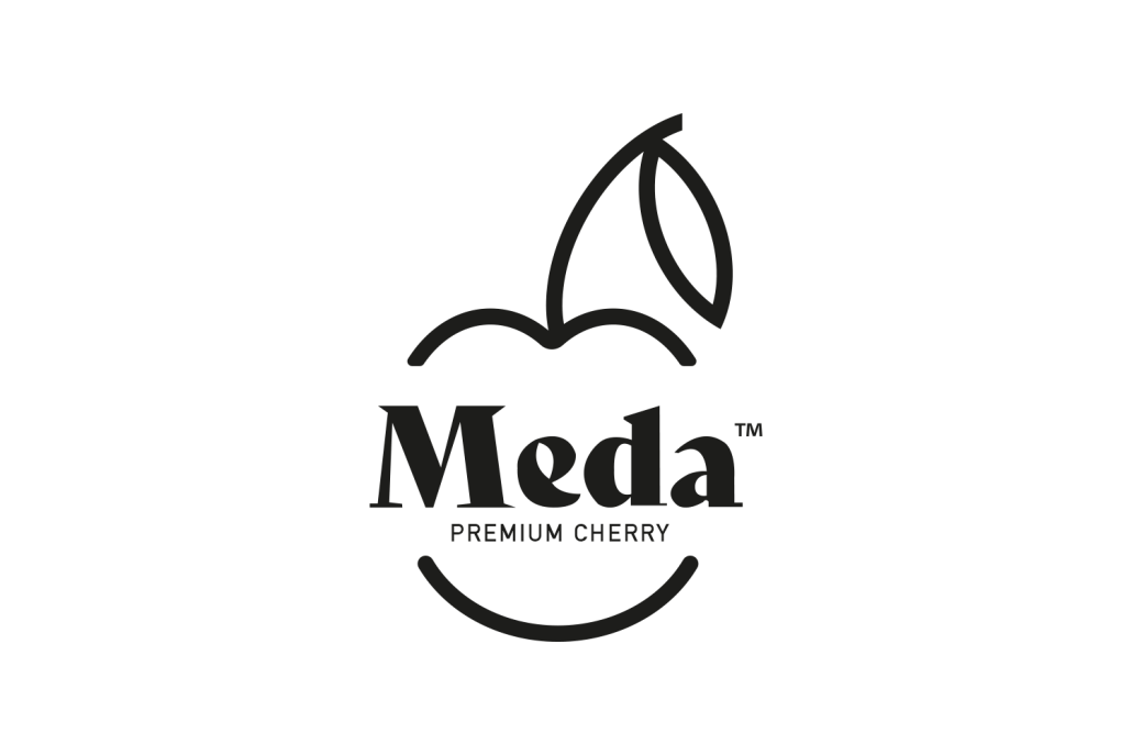 Meda