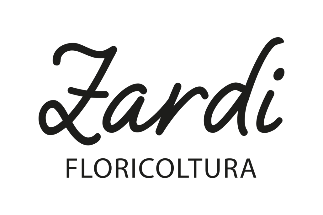 Zardi
